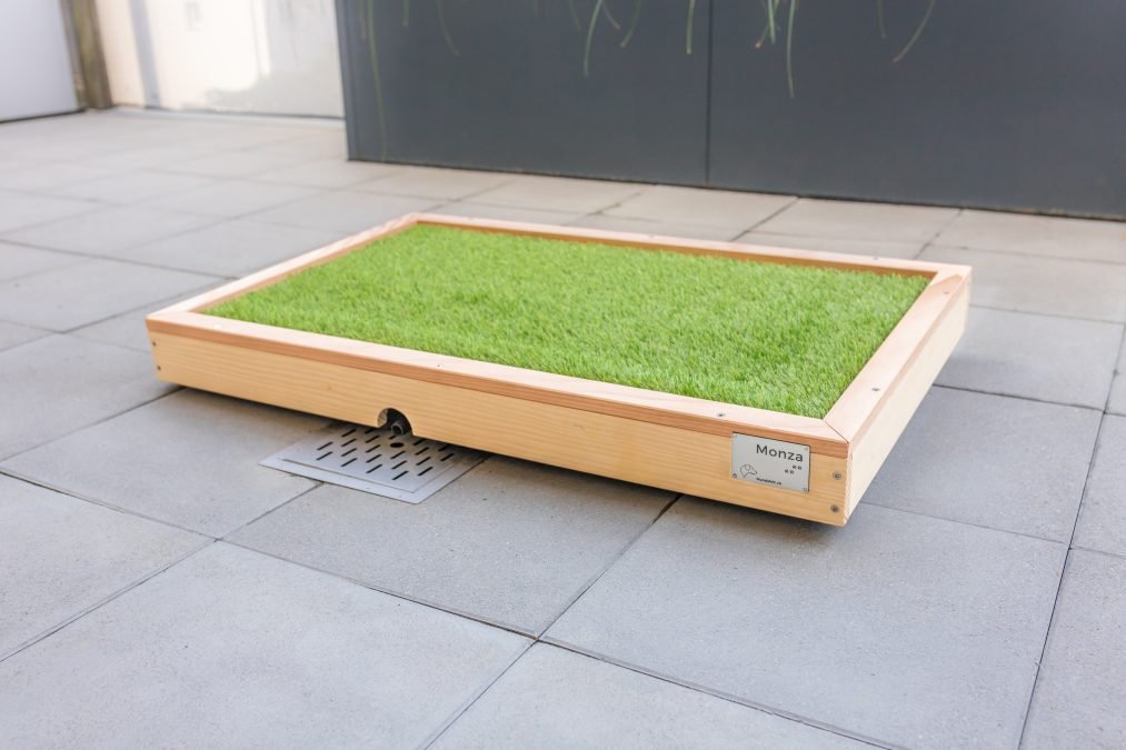 Hundetoilette Balkon Selber Bauen