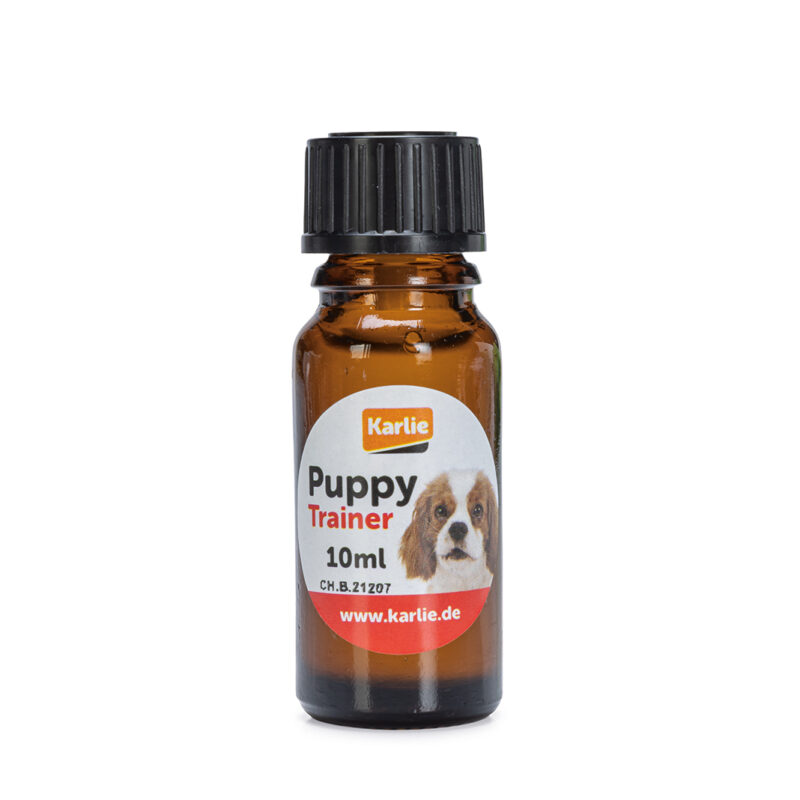 HundeWC: Hunde-Urin / Hundepipi Lockstoffduft