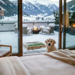 Premium Hundetoilette Hotel: Blick aus einer Luxury Suite auf die fest installierte HundeWC-Infrastruktur auf der winterlichen Terrasse.